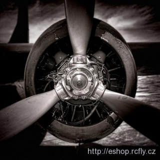 Fotoobraz- třílistá vrtule 